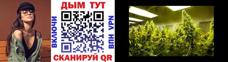 Наркотические вещества Михайлов АМФ КОКАИН Мефедрон Канабис Кодеин APVP Гашиш