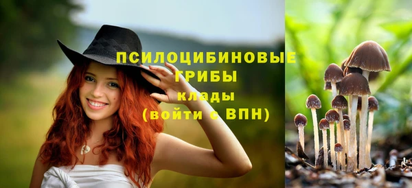 бутират Богородск