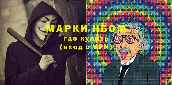 spice Богородицк