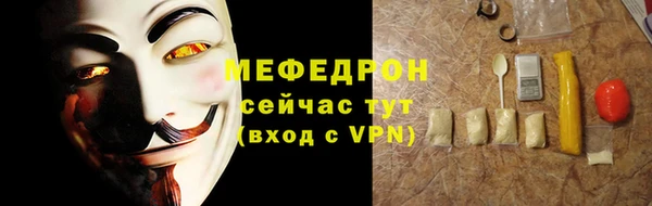 spice Богородицк