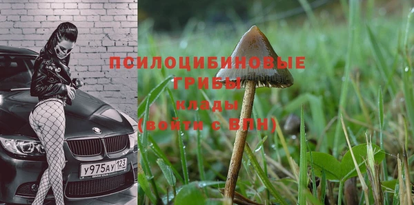 spice Богородицк