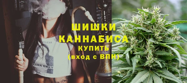 spice Богородицк