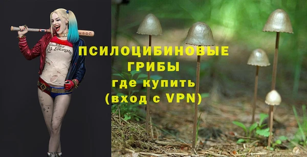 бутират Богородск