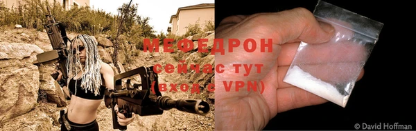 spice Богородицк
