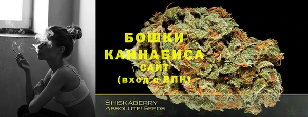 spice Богородицк