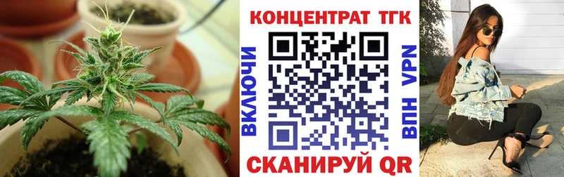 ТГК Wax  Михайлов 