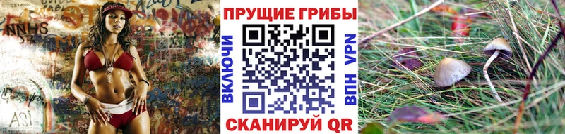 купить наркоту  darknet какой сайт  Галлюциногенные грибы GOLDEN TEACHER  Михайлов 